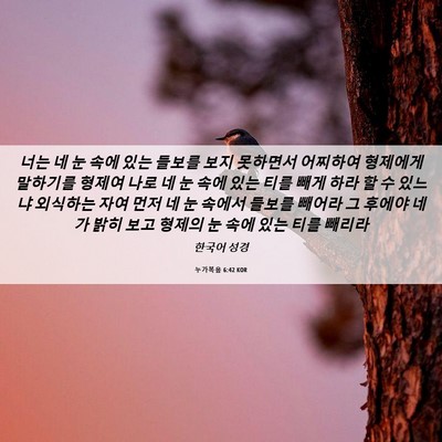 Picture 06 - 누가복음 6:42 KOR - 너는 네 눈 속에 있는 들보를 보지 - Bible Verse Picture