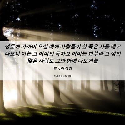Picture 06 - 누가복음 7:12 KOR - 성문에 가까이 오실 때에 사람들이 - Bible Verse Picture