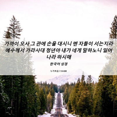 Picture 06 - 누가복음 7:14 KOR - 가까이 오사 그 관에 손을 대시니 멘 - Bible Verse Picture