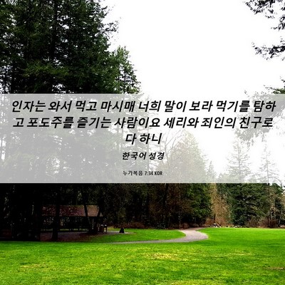 Picture 06 - 누가복음 7:34 KOR - 인자는 와서 먹고 마시매 너희 말이 - Bible Verse Picture