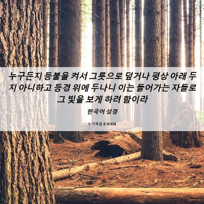 Picture 06 - 누가복음 8:16 KOR - 누구든지 등불을 켜서 그릇으로 - Bible Verse Picture