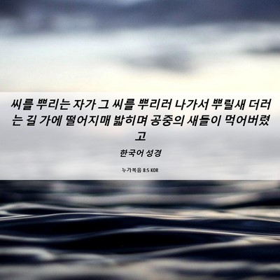 Picture 06 - 누가복음 8:5 KOR - 씨를 뿌리는 자가 그 씨를 뿌리러 - Bible Verse Picture