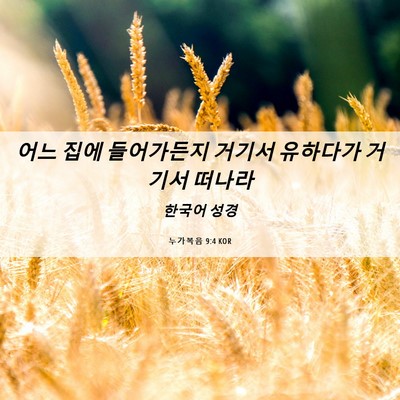 Picture 06 - 누가복음 9:4 KOR - 어느 집에 들어가든지 거기서 - Bible Verse Picture