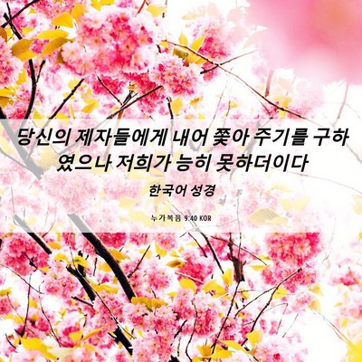Picture 06 - 누가복음 9:40 KOR - 당신의 제자들에게 내어 쫓아 주기를 - Bible Verse Picture