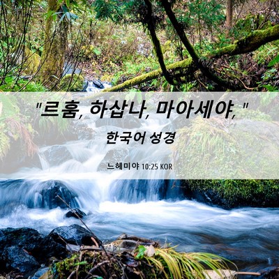 Picture 06 - 느헤미야 10:25 KOR - 