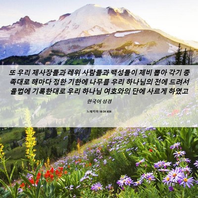 Picture 06 - 느헤미야 10:34 KOR - 또 우리 제사장들과 레위 사람들과 - Bible Verse Picture