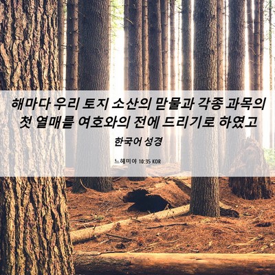 Picture 06 - 느헤미야 10:35 KOR - 해마다 우리 토지 소산의 맏물과 - Bible Verse Picture