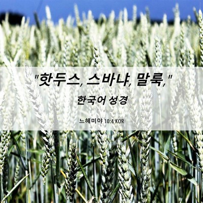 Picture 06 - 느헤미야 10:4 KOR - 