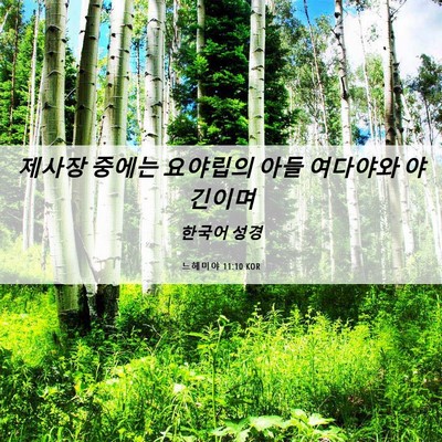 Picture 06 - 느헤미야 11:10 KOR - 제사장 중에는 요야립의 아들 - Bible Verse Picture