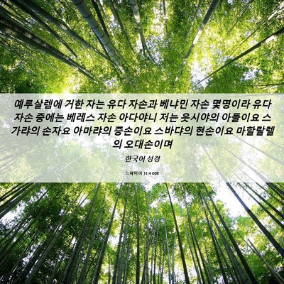 Picture 06 - 느헤미야 11:4 KOR - 예루살렘에 거한 자는 유다 자손과 - Bible Verse Picture