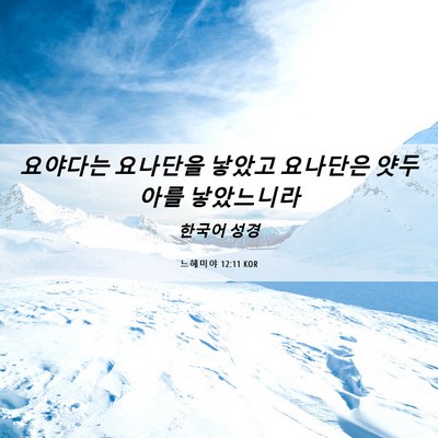 Picture 06 - 느헤미야 12:11 KOR - 요야다는 요나단을 낳았고 요나단은 - Bible Verse Picture