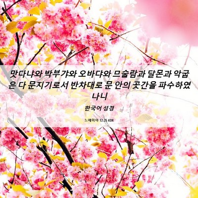 Picture 06 - 느헤미야 12:25 KOR - 맛다냐와 박부갸와 오바댜와 - Bible Verse Picture