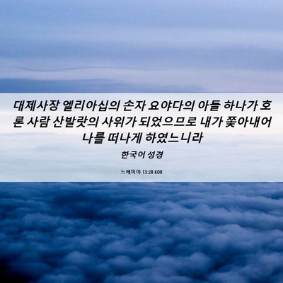 Picture 06 - 느헤미야 13:28 KOR - 대제사장 엘리아십의 손자 요야다의 - Bible Verse Picture