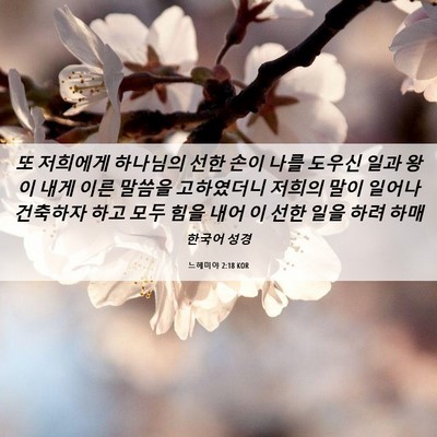 Picture 06 - 느헤미야 2:18 KOR - 또 저희에게 하나님의 선한 손이 - Bible Verse Picture