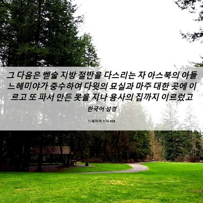 Picture 06 - 느헤미야 3:16 KOR - 그 다음은 벧술 지방 절반을 - Bible Verse Picture