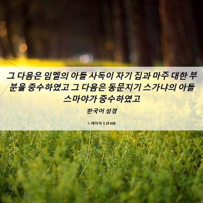 Picture 06 - 느헤미야 3:29 KOR - 그 다음은 임멜의 아들 사독이 자기 - Bible Verse Picture