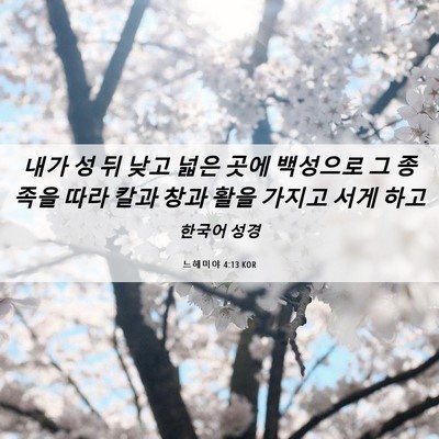 Picture 06 - 느헤미야 4:13 KOR - 내가 성 뒤 낮고 넓은 곳에 백성으로 - Bible Verse Picture