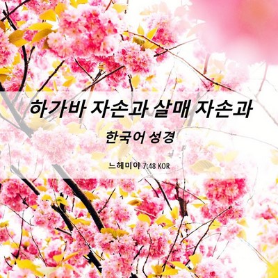 Picture 06 - 느헤미야 7:48 KOR - 하가바 자손과 살매 - Bible Verse Picture