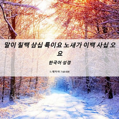 Picture 06 - 느헤미야 7:68 KOR - 말이 칠백 삼십 륙이요 노새가 이백 - Bible Verse Picture