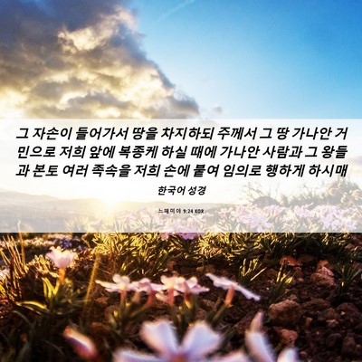 Picture 06 - 느헤미야 9:24 KOR - 그 자손이 들어가서 땅을 차지하되 - Bible Verse Picture