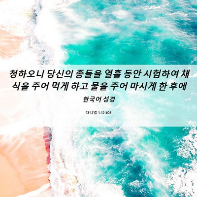 Picture 06 - 다니엘 1:12 KOR - 청하오니 당신의 종들을 열흘 동안 - Bible Verse Picture