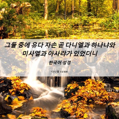 Picture 06 - 다니엘 1:6 KOR - 그들 중에 유다 자손 곧 다니엘과 - Bible Verse Picture
