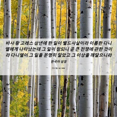 Picture 06 - 다니엘 10:1 KOR - 바사 왕 고레스 삼년에 한 일이 - Bible Verse Picture