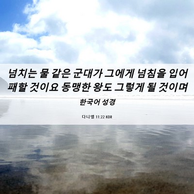 Picture 06 - 다니엘 11:22 KOR - 넘치는 물 같은 군대가 그에게 - Bible Verse Picture