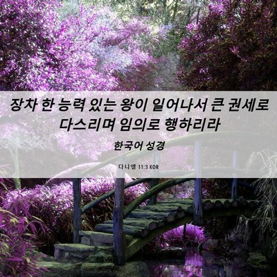 Picture 06 - 다니엘 11:3 KOR - 장차 한 능력 있는 왕이 일어나서 큰 - Bible Verse Picture