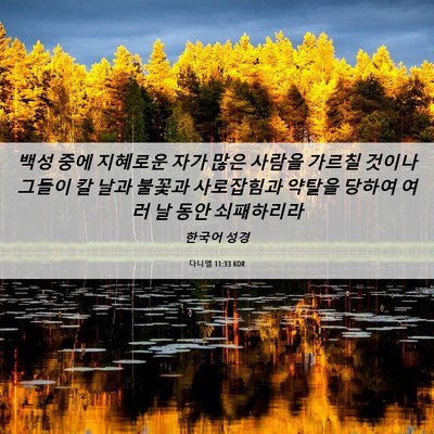 Picture 06 - 다니엘 11:33 KOR - 백성 중에 지혜로운 자가 많은 - Bible Verse Picture