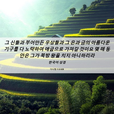 Picture 06 - 다니엘 11:8 KOR - 그 신들과 부어만든 우상들과 그 - Bible Verse Picture