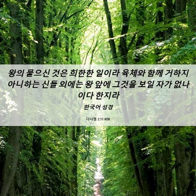 Picture 06 - 다니엘 2:11 KOR - 왕의 물으신 것은 희한한 일이라 - Bible Verse Picture
