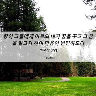 Picture 06 - 다니엘 2:3 KOR - 왕이 그들에게 이르되 내가 꿈을 - Bible Verse Picture