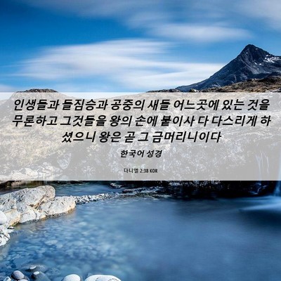 Picture 06 - 다니엘 2:38 KOR - 인생들과 들짐승과 공중의 새들 - Bible Verse Picture