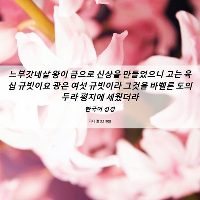 Picture 06 - 다니엘 3:1 KOR - 느부갓네살 왕이 금으로 신상을 - Bible Verse Picture