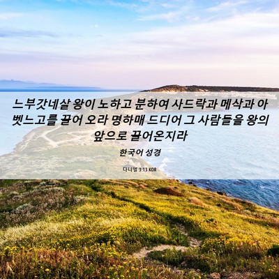 Picture 06 - 다니엘 3:13 KOR - 느부갓네살 왕이 노하고 분하여 - Bible Verse Picture