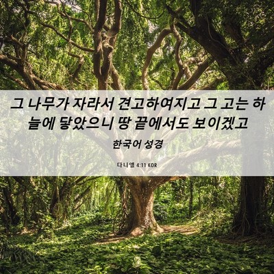Picture 06 - 다니엘 4:11 KOR - 그 나무가 자라서 견고하여지고 그 - Bible Verse Picture