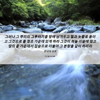 Picture 06 - 다니엘 4:15 KOR - 그러나 그 뿌리의 그루터기를 땅에 - Bible Verse Picture