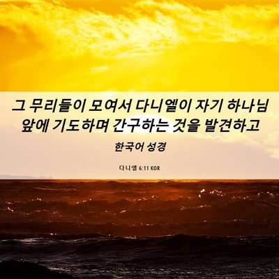 Picture 06 - 다니엘 6:11 KOR - 그 무리들이 모여서 다니엘이 자기 - Bible Verse Picture