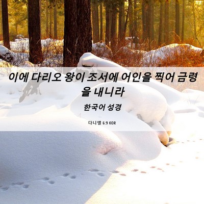 Picture 06 - 다니엘 6:9 KOR - 이에 다리오 왕이 조서에 어인을 - Bible Verse Picture