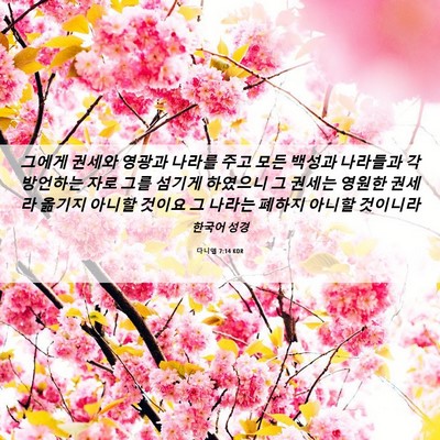 Picture 06 - 다니엘 7:14 KOR - 그에게 권세와 영광과 나라를 주고 - Bible Verse Picture