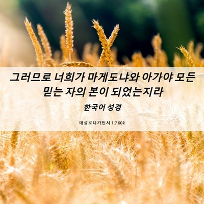 Picture 06 - 데살로니가전서 1:7 KOR - 그러므로 너희가 마게도냐와 아가야 - Bible Verse Picture