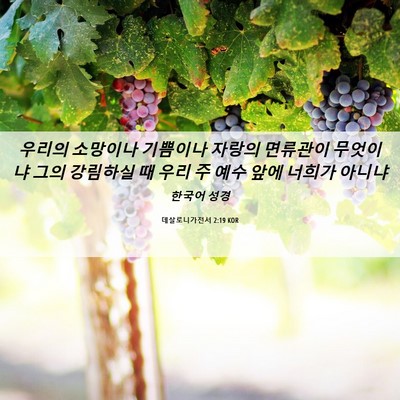Picture 06 - 데살로니가전서 2:19 KOR - 우리의 소망이나 기쁨이나 자랑의 - Bible Verse Picture