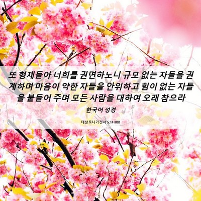Picture 06 - 데살로니가전서 5:14 KOR - 또 형제들아 너희를 권면하노니 규모 - Bible Verse Picture