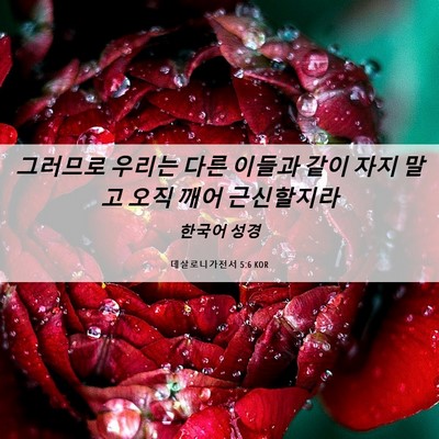 Picture 06 - 데살로니가전서 5:6 KOR - 그러므로 우리는 다른 이들과 같이 - Bible Verse Picture