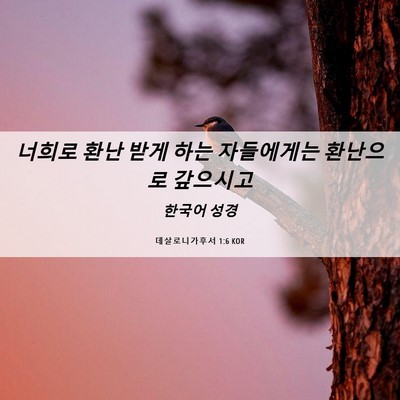 Picture 06 - 데살로니가후서 1:6 KOR - 너희로 환난 받게 하는 자들에게는 - Bible Verse Picture