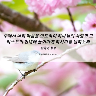 Picture 06 - 데살로니가후서 3:5 KOR - 주께서 너희 마음을 인도하여 - Bible Verse Picture