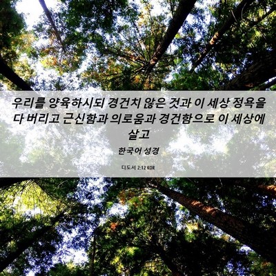 Picture 06 - 디도서 2:12 KOR - 우리를 양육하시되 경건치 않은 것과 - Bible Verse Picture