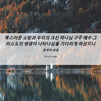 Picture 06 - 디도서 2:13 KOR - 복스러운 소망과 우리의 크신 하나님 - Bible Verse Picture