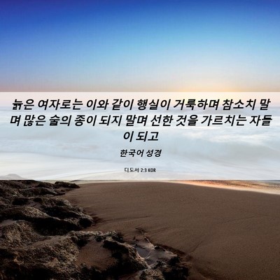 Picture 06 - 디도서 2:3 KOR - 늙은 여자로는 이와 같이 행실이 - Bible Verse Picture